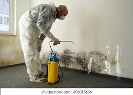 Best Residential Mold Inspection & Testing  in Harrodsburg, KY